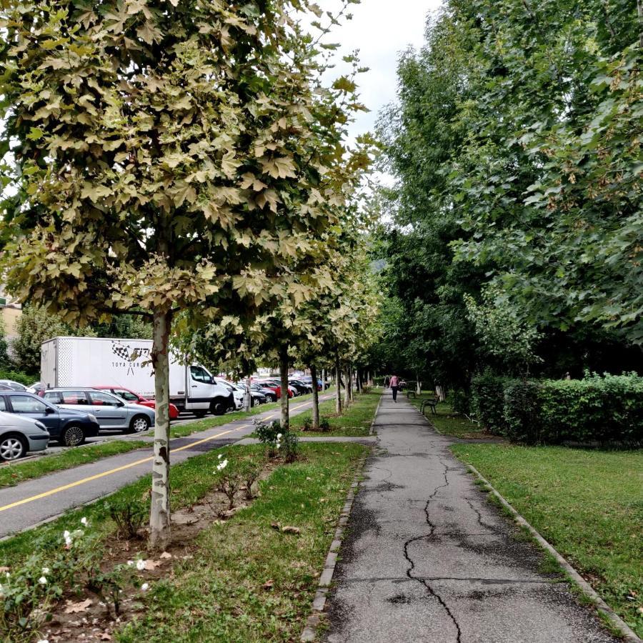 Igla House Apartment Baia Mare Exterior foto