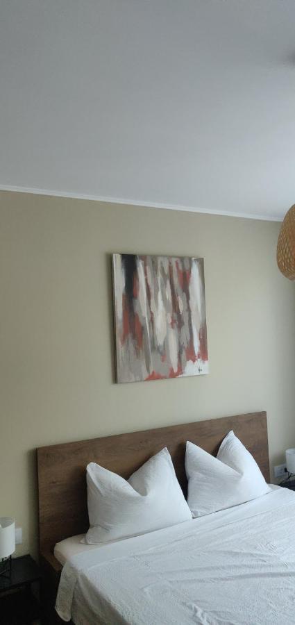 Igla House Apartment Baia Mare Exterior foto