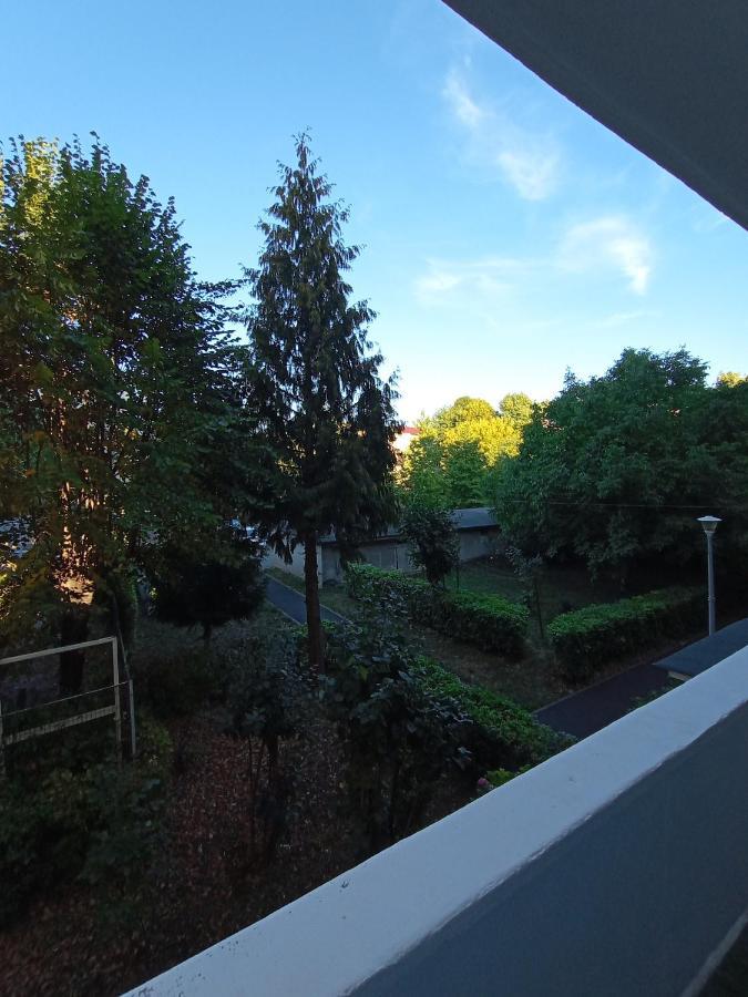Igla House Apartment Baia Mare Exterior foto